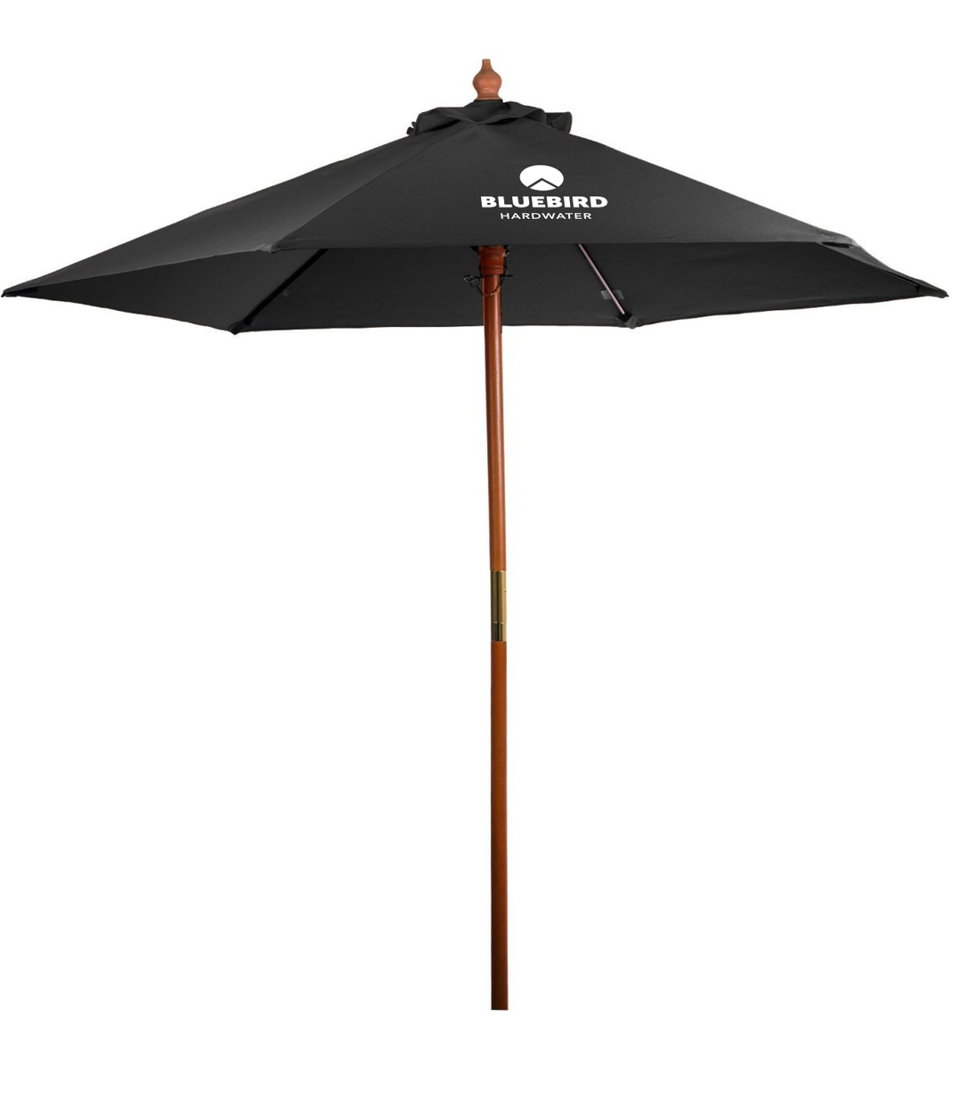 Peerless Umbrella Bluebird