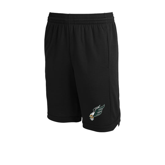 Enfield High Soccer "Eagle B" Shorts